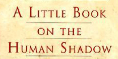 A Little Book on the Human Shadow