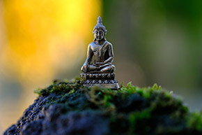 Understanding Buddha